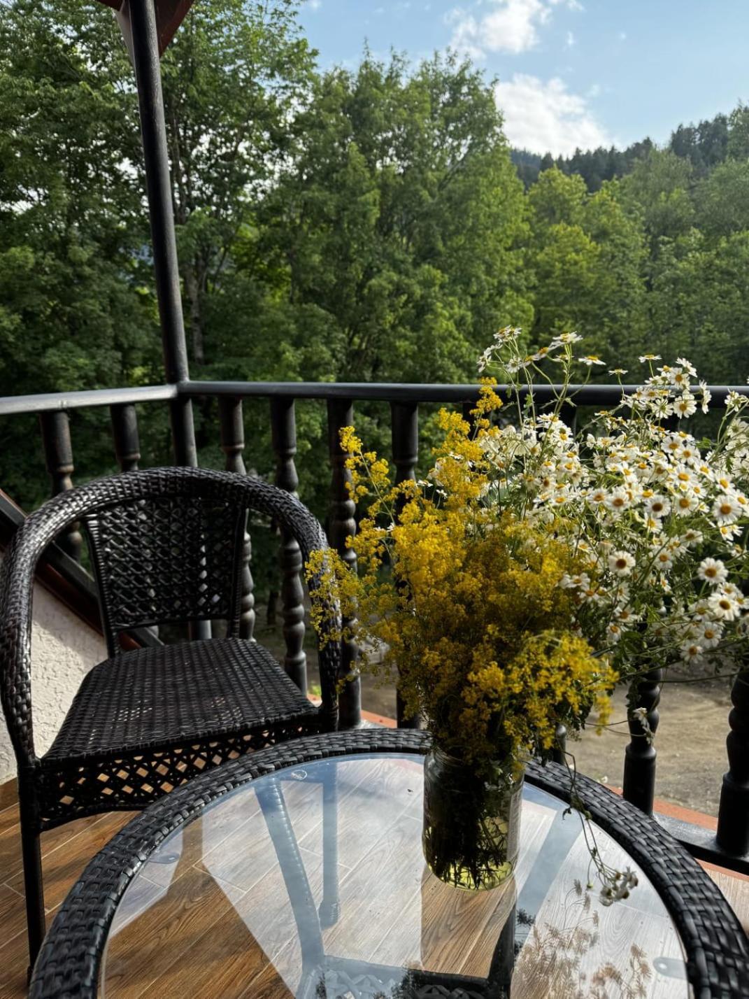 Hotel Iveria Abastumani Buitenkant foto